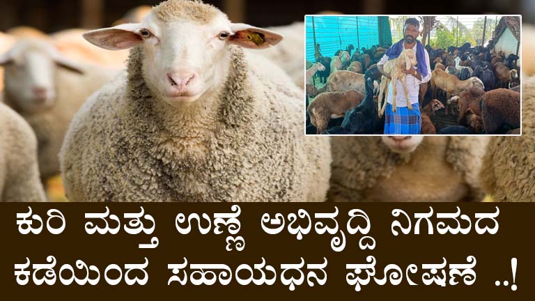 Apply for 90% Subsidy on Sheep and Goat Units in Karnataka