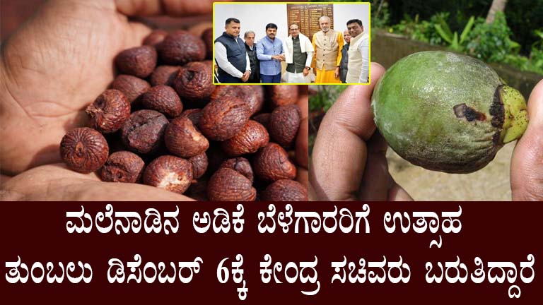 Areca Nut Growers in Karnataka to Discuss Challenges at Sagar Conference